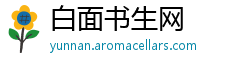 白面书生网